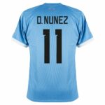 MAILLOT URUGUAY DOMICILE 2023 2024 D.NUNEZ