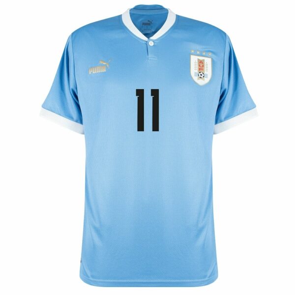 MAILLOT URUGUAY DOMICILE 2023 2024 D.NUNEZ