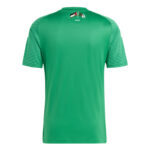 Maillot Algerie Palestine 2023 Vert Brillant