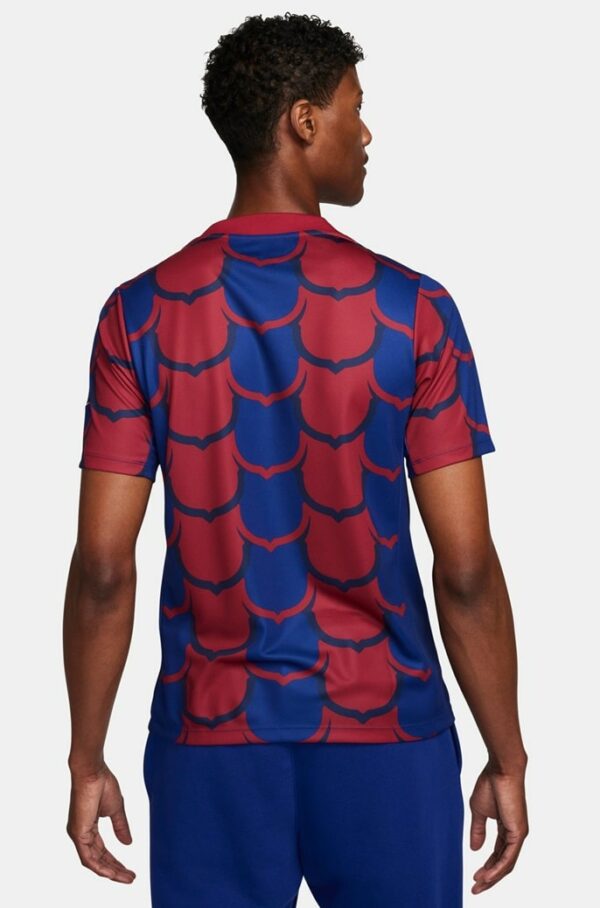 Maillot Barca Pre Match 2023 2024