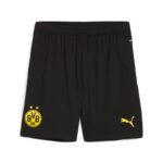 Maillot Kit Enfant BVB Dortmund Domicile LDC 2024 2025