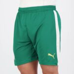 Short Palmeiras 2024 2025 Exterieur