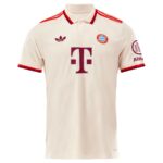 Maillot Bayern Munich Third 2024 2025 Kane