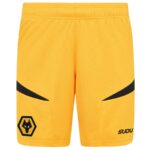 Maillot Kit Enfant Wolverhampton Domicile 2024 2025 Gold